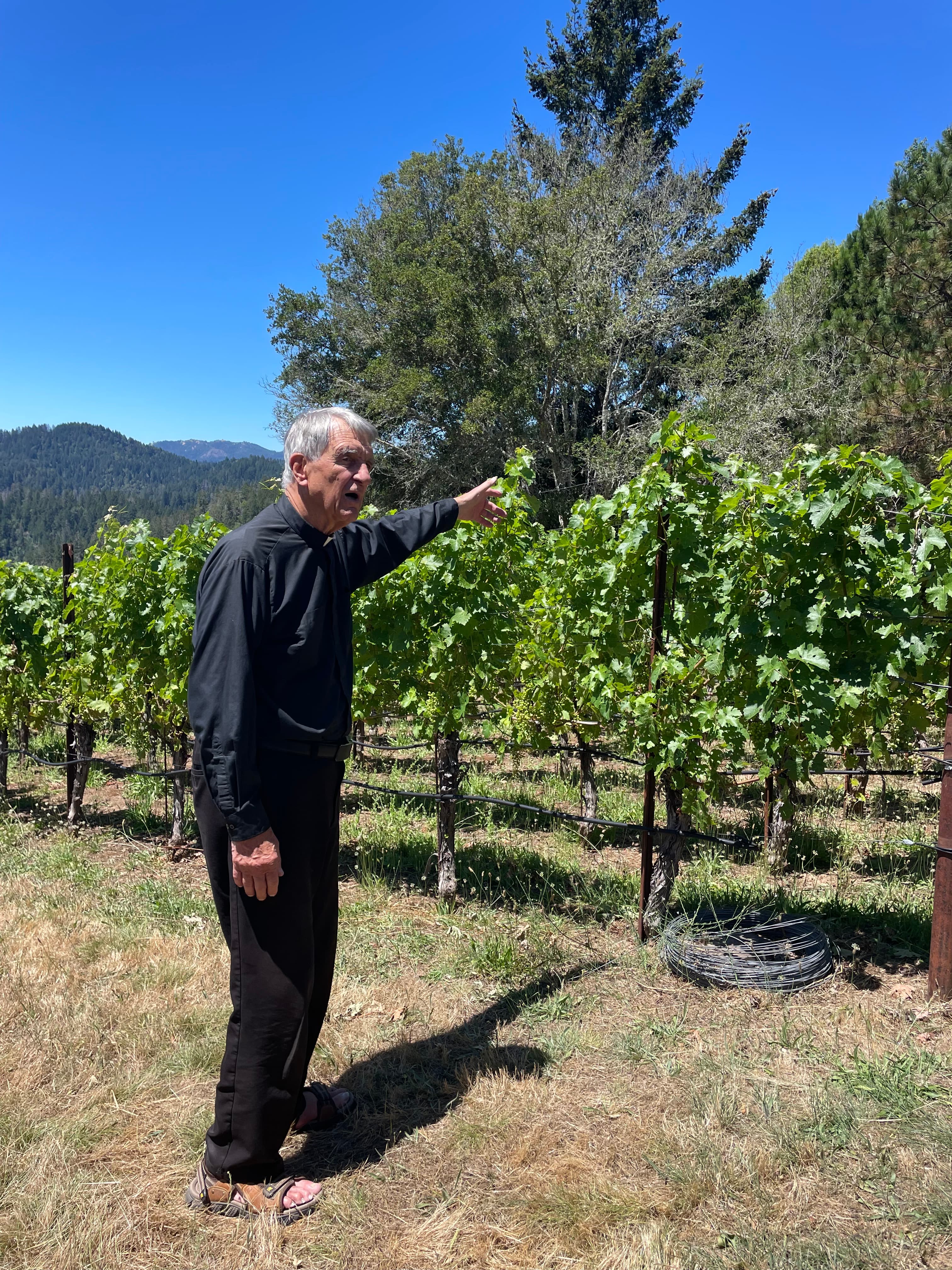 Abide in the Vine: An Alumni Retreat with Fr. Fessio
