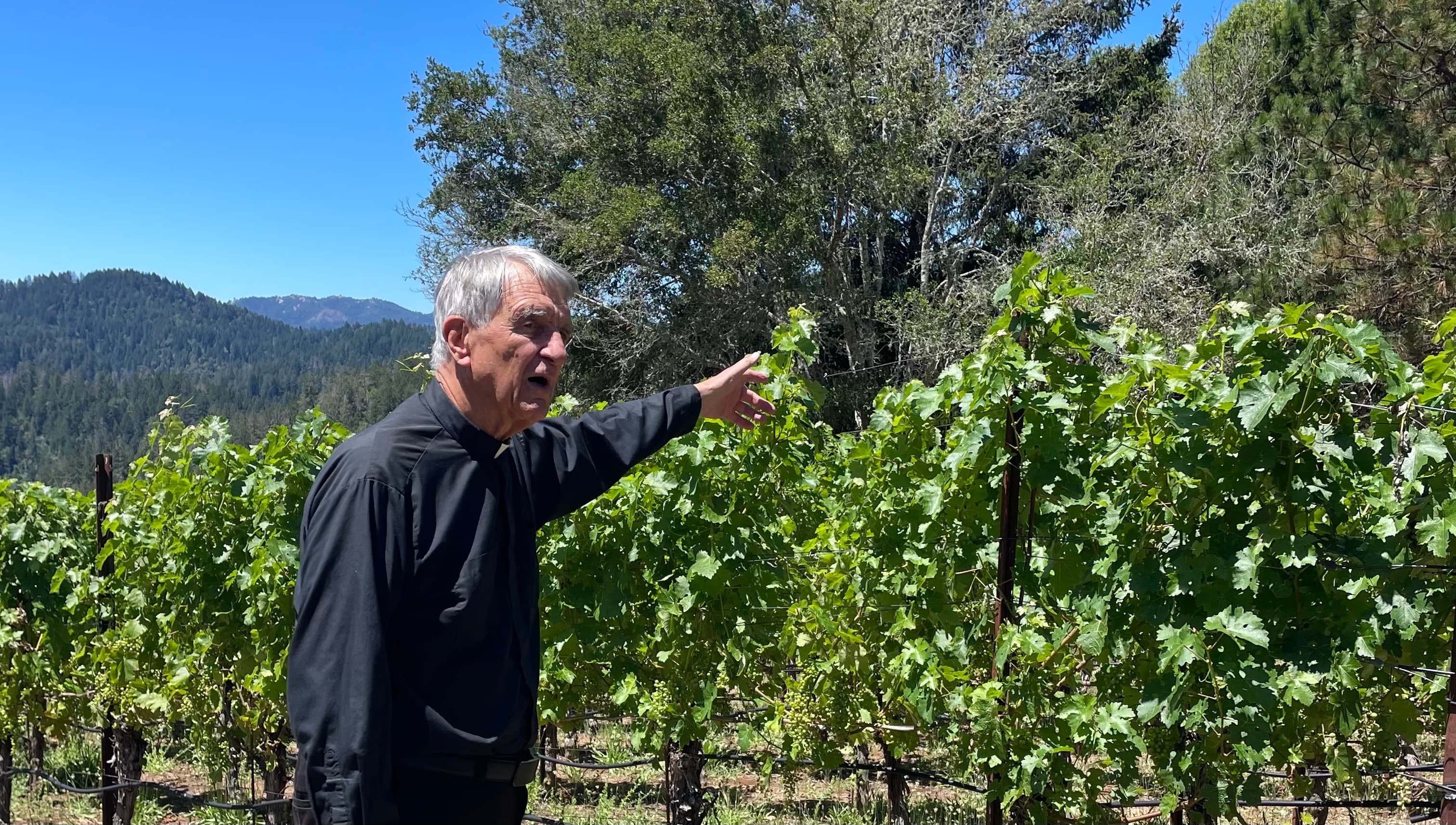 Abide in the Vine: An Alumni Retreat with Fr. Fessio