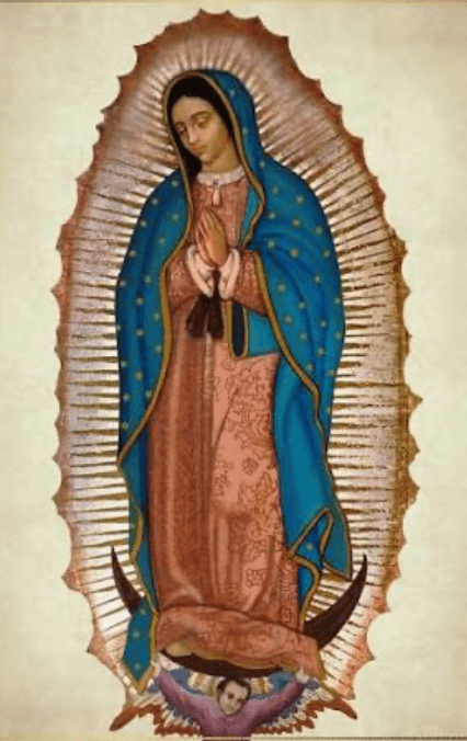Our Lady of Guadalupe Celebration St. Louis, MO